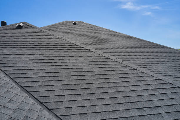 Best Roof Insulation Installation  in Dahlgren, VA